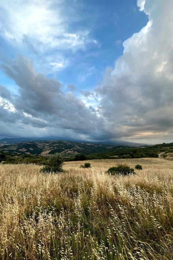 Casa Primavera A Rocca D'Orcia Castiglione dʼOrcia Eksteriør billede